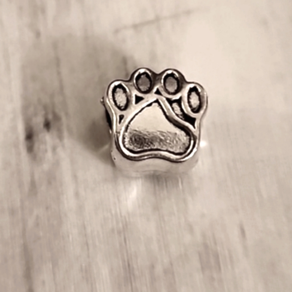 Paw Print Charm  Pandora Compatable2️⃣